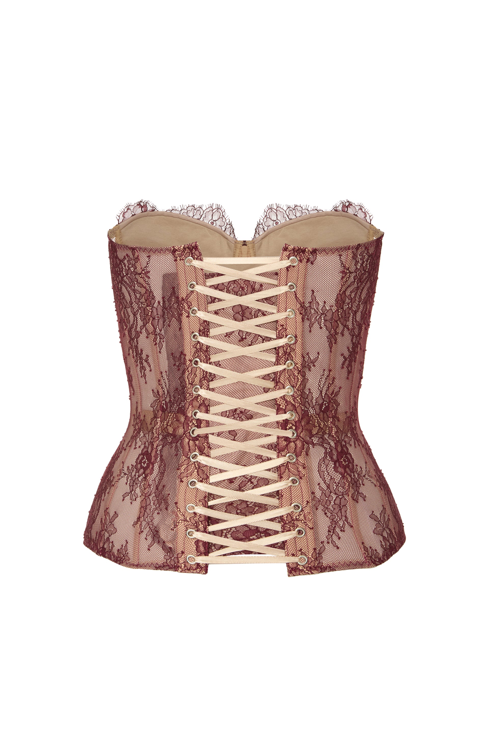 Desire drop. Lace burgundy corset on beige base