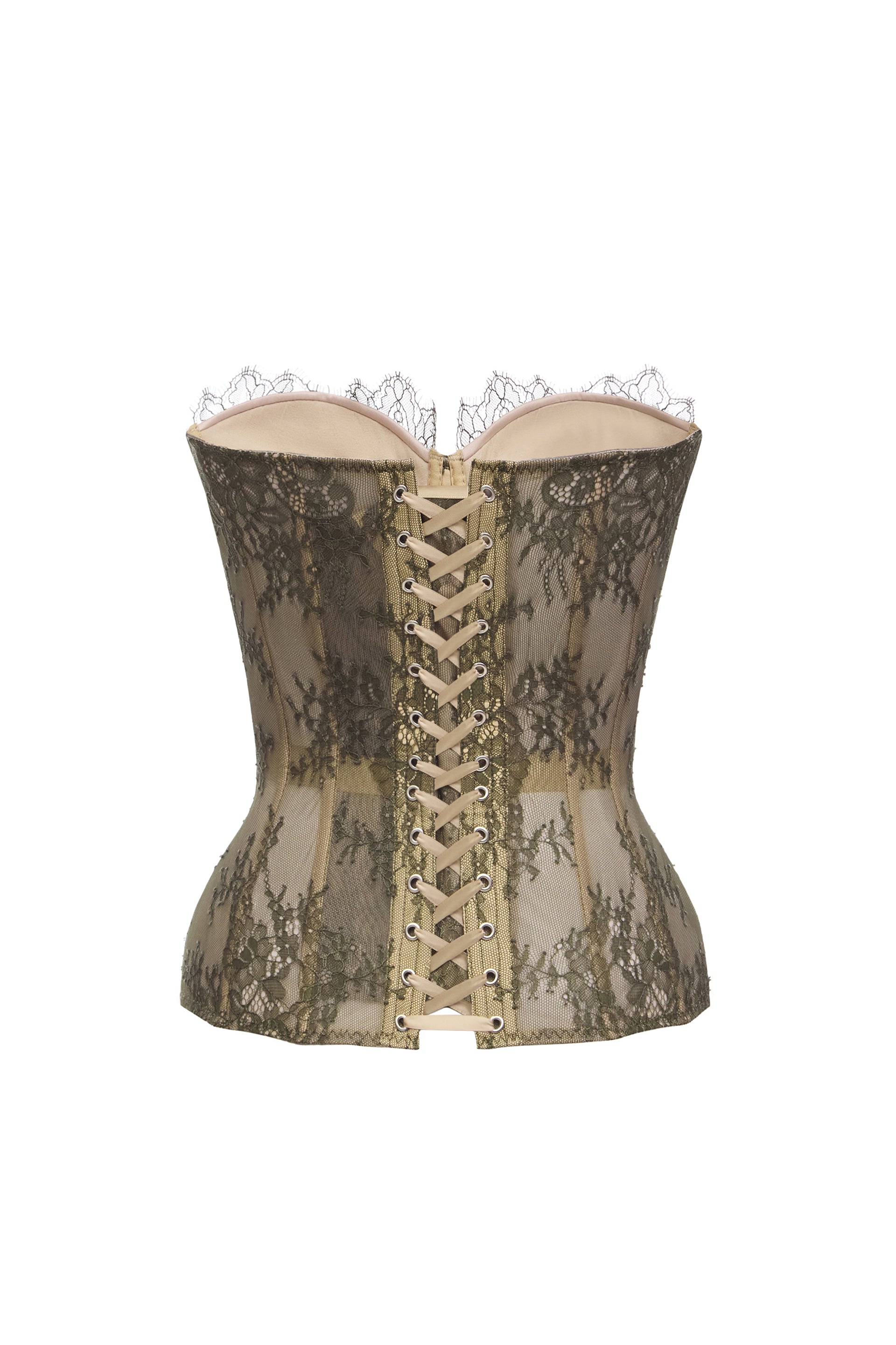 Desire drop. Lace khaki corset on beige base