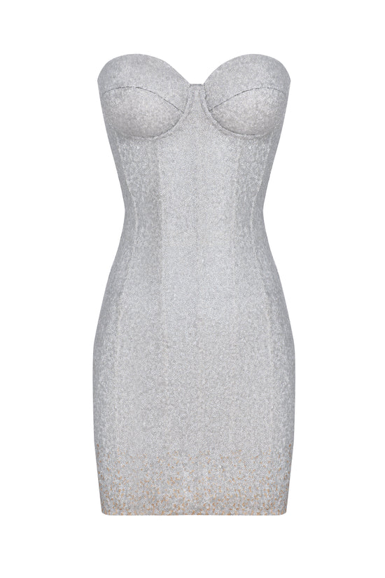 Silver sequined dress